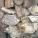 Бут желтый с разводом в сетке