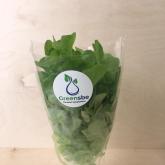 Салат Дуболистный