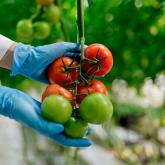 ЕЗХП Химзавод