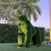 Горилла (Фабрика Бачо)