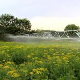 Завод Дождевальных Машин ZDM-Irrigation