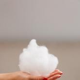 Фабрика Теплон