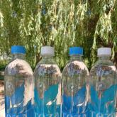 ООО ТМ ДИНА