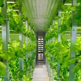 Фото фермы 1