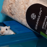 Древесная стружка