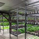 Фото фермы 2