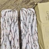 ООО "Тазагрорыбпром"