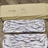 ООО "Тазагрорыбпром"