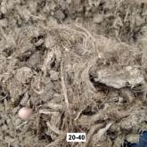 ООО Торрос - торф плодородный грунт и субстраты на основе торфа