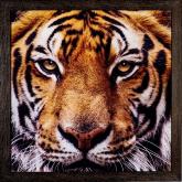 Страна Картин