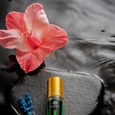 Dimergy Crimea Крымские Масляные духи