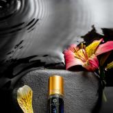 Dimergy Crimea Крымские Масляные духи