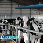 КвадроВент