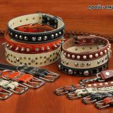 Ошейники, поводки, намордники, шлейки