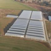 Питомник "Merry Berry"