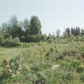 Земельный участок 6,2 га под промышленные предприятия и объекты IV, V класса опасности, охраняемая территория, ж.д. подъездные пути, центральный газ, своя вода, электричество 150 кВт, КАД - 41 км.