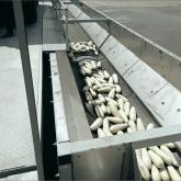 Авиком-Пласт 