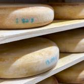 Сыроварня "La-Ferma"