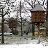 Изготовим , доставим и установим голубятню.