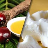 Масло пальмовое
