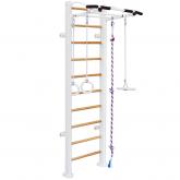 Домашний спортивный комплекс KARUSSELL Adler