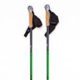 Палки для скандинавской ходьбы и трекинговые.