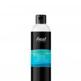 Полироль пластика