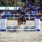 барьеры для лошадей