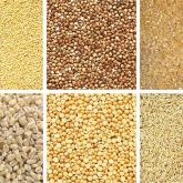 ИП Агапов О.А