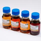 БАЗИС-ТЕРРА