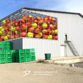 3D design on the building. 3D реклама на зданиях. 3D реклама фруктов на здании склада. г.Нальчик. 2014 год. Вышлем в цифровом виде 3D рекламу, а вы сможете на месте распечатать в ближайшей типографии на обычной плёнке и наклеить на автомобиль или билборд. info@marketanima.ru +7-918-576-61-72