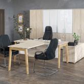 Темпометрика