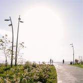 Декоративные изогнутые опоры