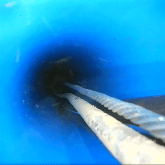 Камеры-Алга