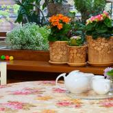 Керамические горшки для цветов