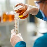 БАЗИС-ТЕРРА