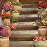 Кашпо и цветочные горшки