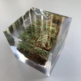 Заливка газона в куб полимерной смолы высокой чистоты и прозрачности