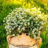 Садовые фигуры