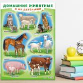 Обучающие и оформительские плакаты для школы и детского сада