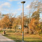 Деревянные круглые конические опоры