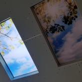 Фальш-окно потолочное, любые размеры, любые изображения