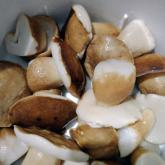 «Грибной Алтай»