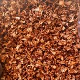 «Грибной Алтай»