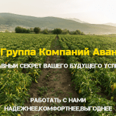 Группа Компаний Авангард