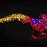 Сад Радости