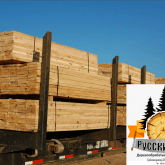 Лесозаготовительная компания г. Белорецк