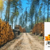 Лесозаготовительная компания г. Белорецк