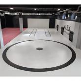 Борцовский Ковер TARGEX