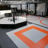 Борцовский Ковер TARGEX